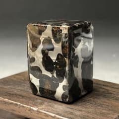 パラサイト隕石 隕石 石鉄隕石 セリコ隕石 美品 重さ約50g ケース付