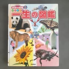 一生の図鑑のサムネイル