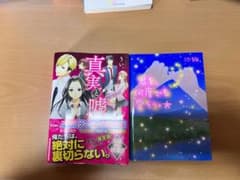 小説　野いちご　ピンキー文庫のサムネイル