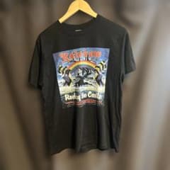 ★Rainbow Rocking the Castle ★Tシャツ★Lサイズ★のサムネイル