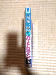 豪華版 SM秘小説 1998年 5月号 結城彩雨 香山洋一 藤堂慎太郎 五代友義のサムネイル