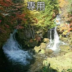 ももた様専用のサムネイル