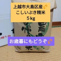 上越市大島区産　こしいぶき白米 5kgのサムネイル