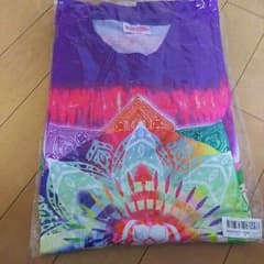 ももクロJAPAN TOUR 2013 五蘊Tシャツのサムネイル
