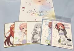 오등분 신부전 memories message 브로셔 카드 색종이