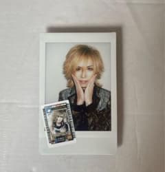 Royz 智也 チェキのサムネイル