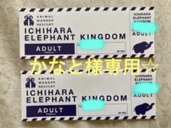 市原ぞうの国チケット　大人2枚のサムネイル