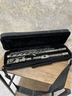 Kaerntner flute, wind instrument