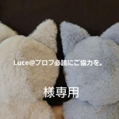 Luce@プロフ必読にご協力を。様オーダーぬい服 - メルカリ