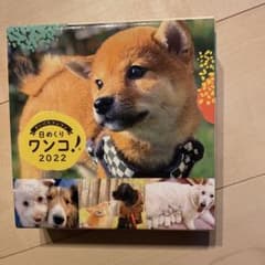 日めくりワンコ! 2022年 卓上日めくりカレンダー犬版のサムネイル