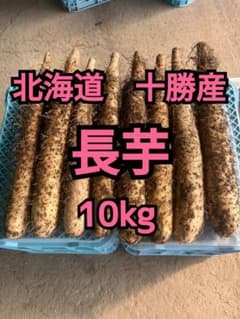 【残りわずか】長芋　10kg 北海道　十勝産のサムネイル