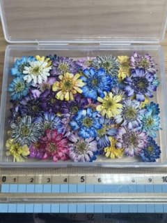 ハンドメイド 花材 ドライフラワー マトリカリア mix 訳有り含 50+α ①