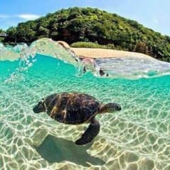 ちさと様専用のサムネイル