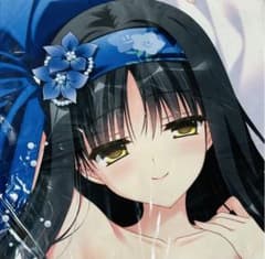 たにはらなつき 描き下ろし抱き枕カバー リンドウ2014 華枕 | Mercari