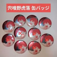 ファントムバスターズ ファボテリア 缶バッジ 宍喰野虎落 5点 - メルカリ