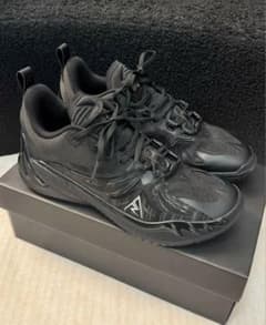 haruKaze34 リゴーラar3 ダークホース リゴーラAr3 ダークホース Rigorer - メルカリ