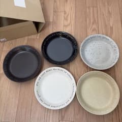 【新品未使用品】器　陶器プレート、カレー皿、5枚セットのサムネイル