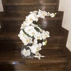胡蝶蘭 アートフラワー 造花 透明花瓶付きのサムネイル