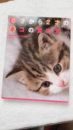 0才から2才のネコの育て方のサムネイル