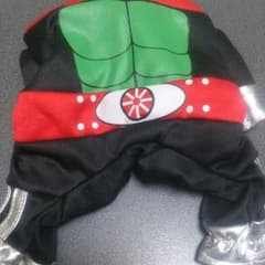 仮面ライダーのサムネイル