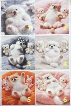 ハンドメイド♡オーダーページ【わんこ29】 - メルカリ