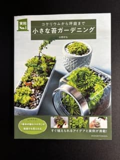 小さな苔ガーデニングのサムネイル