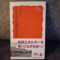 エネルギーを選びなおす 小澤祥司 岩波書店のサムネイル