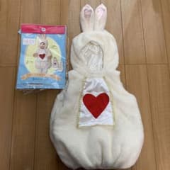 うさぎ　着ぐるみ　ベビー　不思議の国のアリスのサムネイル