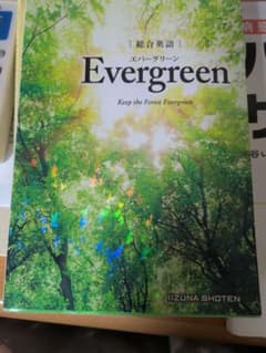 総合英語 Evergreen 英語参考書のサムネイル