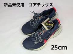 【新品・未使用】ナイキ ペガサストレイル3 ゴアテックス メンズ25cmのサムネイル