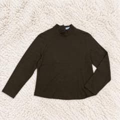 PINORE ピノーレ ウールシルク ハイネック 長袖カットソー 40