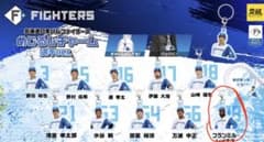 北海道日本ハムファイターズ アクリルキーホルダー3点セット レイエス#99のサムネイル
