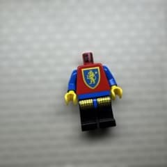 LEGO キングダムボディのサムネイル