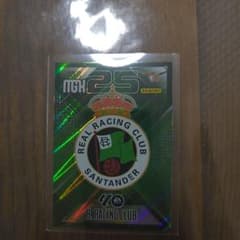PANINI R. RACING CLUB 카드