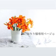 ☺︎りり様専用ページ☺︎のサムネイル