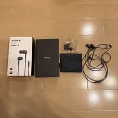 SONY h.ear in 2 IER-H500A 有線イヤホンのサムネイル