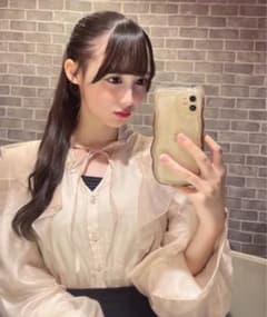프릴 컬러 시어 블라우스