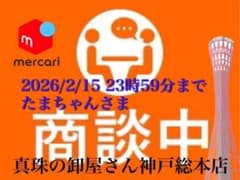 新品・百貨店商品・神戸総本店】S-特2108たまちゃんさま 商談中ページ 