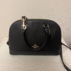 COACH 黒 ハンドバッグ（お値下げ不可）のサムネイル