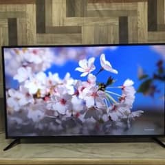 ゆかさん専用昨年購入マクスゼン50型地上D.BSCSチューナー液晶テレビ ゆかさん専用昨年購入マクスゼン50型地上D.BSCSチューナー液晶テレビ