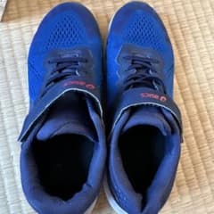 ASICS 青 スニーカーのサムネイル