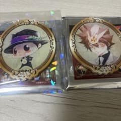 家庭教師ヒットマンREBORN!フレームスタイルマグネットコレクション 第