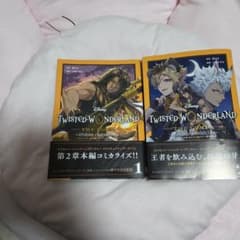 見*様 TWISTED WONDERLAND 小説 1 & 2 セットのサムネイル