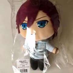 すたぬい りーだーず 服部耀のサムネイル