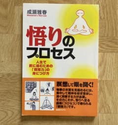 悟りのプロセス　成瀬雅春のサムネイル