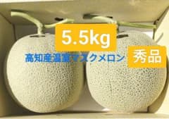 高知産 贈答用 大玉マスクメロン 秀品 2玉 約5，5kg 北海道沖縄発送
