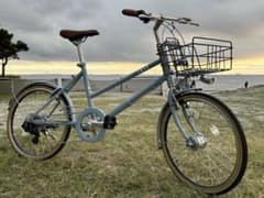 Price reduction available for the BRIDGESTONE Mark Rosa M7 mini velo.