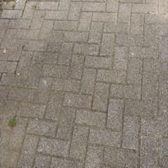れい様用のサムネイル