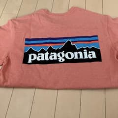 Patagonia Responsibili-Teeのサムネイル