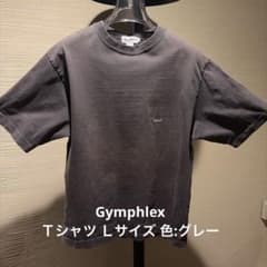 Gymphlex Ｔシャツ Lサイズ 色:グレーのサムネイル